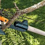 How to Use a Pole Saw – Simple Steps to Get the Job Done