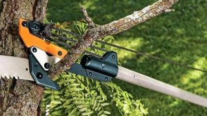 How to Use a Pole Saw