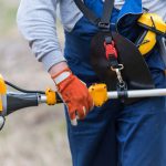 Best Gas Pole Saw Reviews with Buying Guide In 2022